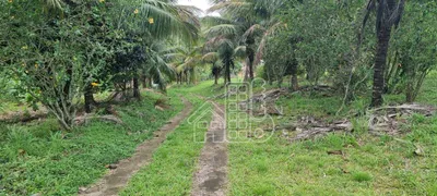 Fazenda / Sítio / Chácara com 4 Quartos à venda, 300m² no Boa Esperança, Rio Bonito - Foto 6