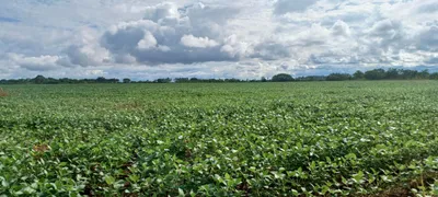 Fazenda / Sítio / Chácara com 2 Quartos à venda, 420000m² no Paranoá, Brasília - Foto 1