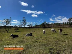 Fazenda / Sítio / Chácara com 1 Quarto à venda, 92000m² no Turvinho, Pilar do Sul - Foto 3