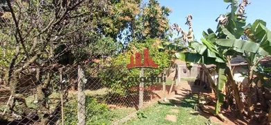Fazenda / Sítio / Chácara com 3 Quartos à venda, 250m² no Recanto do Guarapari, Nova Odessa - Foto 5