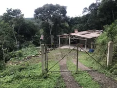 Fazenda / Sítio / Chácara com 3 Quartos à venda, 60m² no Centro, Bocaiúva do Sul - Foto 16