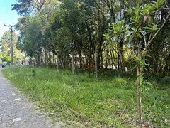 Terreno / Lote / Condomínio à venda, 1200m² no Parque das Hortênsias, Canela - Foto 9