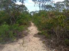 Terreno / Lote / Condomínio à venda, 80000m² no Setor de Mansoes do Lago Norte, Brasília - Foto 6