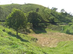 Fazenda / Sítio / Chácara com 4 Quartos à venda, 126000m² no Santa Cruz, Volta Redonda - Foto 11