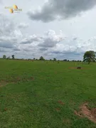 Fazenda / Sítio / Chácara à venda, 9330000m² no Centro, Nova Xavantina - Foto 2