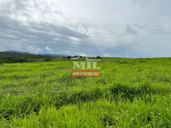 Fazenda / Sítio / Chácara à venda, 75m² no Zona Rural, Paraúna - Foto 10