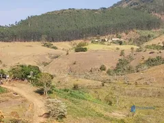 Fazenda / Sítio / Chácara à venda, 1390000m² no Taruacu, São João Nepomuceno - Foto 26