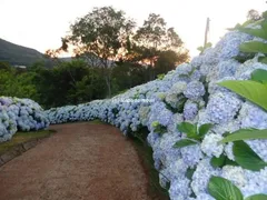 Fazenda / Sítio / Chácara com 2 Quartos à venda, 111900m² no , Gramado - Foto 17