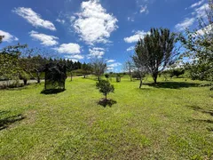 Fazenda / Sítio / Chácara com 2 Quartos à venda, 30000m² no Zona Rural, Campo Alegre - Foto 3