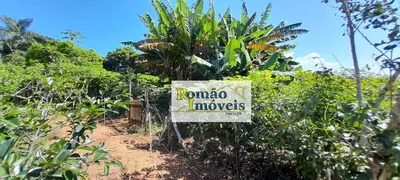 Fazenda / Sítio / Chácara com 4 Quartos à venda, 600m² no , Joanópolis - Foto 18