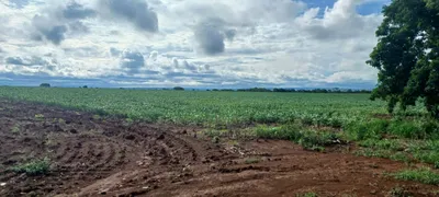 Fazenda / Sítio / Chácara com 2 Quartos à venda, 420000m² no Paranoá, Brasília - Foto 28