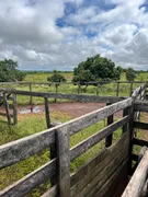 Fazenda / Sítio / Chácara com 5 Quartos à venda, 100m² no Zona Rural, Nossa Senhora do Livramento - Foto 21