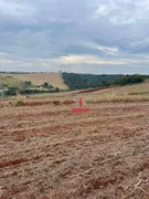 Fazenda / Sítio / Chácara à venda, 1694000m² no Zona Rural, Sertaneja - Foto 5