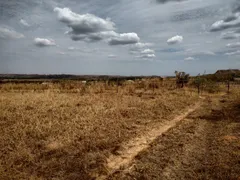 Terreno / Lote Comercial para alugar, 20000m² no Area Rural de Ceilandia, Brasília - Foto 4