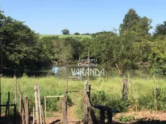 Fazenda / Sítio / Chácara com 4 Quartos à venda, 250m² no Centro, José Bonifácio - Foto 1