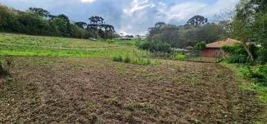 Fazenda / Sítio / Chácara com 3 Quartos à venda, 17000m² no Campestre dos Paulas, Mandirituba - Foto 21