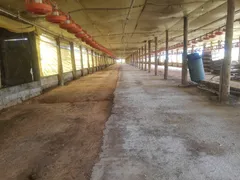 Fazenda / Sítio / Chácara com 4 Quartos à venda, 242000m² no Zona Rural, Itapetininga - Foto 74