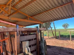 Fazenda / Sítio / Chácara à venda, 178838m² no Zona Rural, Itaguajé - Foto 11