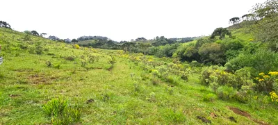 Fazenda / Sítio / Chácara à venda, 150000m² no Centro, São Joaquim - Foto 29