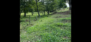 Fazenda / Sítio / Chácara com 3 Quartos à venda, 27000m² no Area Rural de Senador Canedo, Senador Canedo - Foto 21