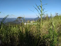 Fazenda / Sítio / Chácara à venda, 30000m² no Vila Jardim, Gramado - Foto 8