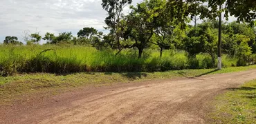 Fazenda / Sítio / Chácara à venda, 4800m² no Setor Central, Caldazinha - Foto 1