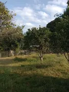 Fazenda / Sítio / Chácara com 4 Quartos à venda, 45000m² no Zona Rural, Pelotas - Foto 10