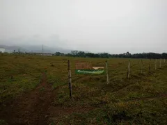 Fazenda / Sítio / Chácara à venda, 1000m² no Centro, Roseira - Foto 4