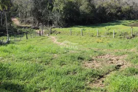 Fazenda / Sítio / Chácara com 3 Quartos à venda, 80m² no Branquinha, Viamão - Foto 7