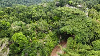 Terreno / Lote / Condomínio à venda, 1400m² no Praia do Pulso, Ubatuba - Foto 4