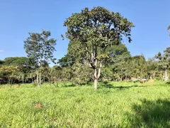 Terreno / Lote / Condomínio à venda, 3000m² no Condomínio Vale do Ouro, Ribeirão das Neves - Foto 6