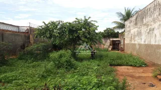 Terreno / Lote / Condomínio à venda, 297m² no Vila Albertina, Ribeirão Preto - Foto 6