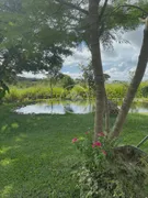 Fazenda / Sítio / Chácara com 3 Quartos à venda, 48000m² no Zona Rural, Orizona - Foto 20