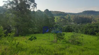 Terreno / Lote / Condomínio à venda, 6000000m² no Zona Rural, Bueno Brandão - Foto 3