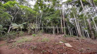 Fazenda / Sítio / Chácara com 2 Quartos à venda, 11000m² no Zona Rural, Marechal Floriano - Foto 13