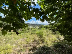 Terreno / Lote / Condomínio à venda, 10000m² no Vale dos Vinhedos, Bento Gonçalves - Foto 38