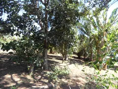 Fazenda / Sítio / Chácara com 3 Quartos à venda, 1530m² no Pavão-Canguera, São Roque - Foto 74
