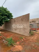 Galpão / Depósito / Armazém à venda, 360m² no Segismundo Pereira, Uberlândia - Foto 12