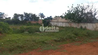 Fazenda / Sítio / Chácara à venda, 1000m² no Morada Nova, Uberlândia - Foto 2