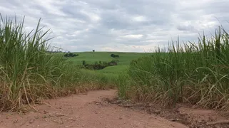 Fazenda / Sítio / Chácara com 1 Quarto à venda, 108512800m² no Zona Rural, Piracicaba - Foto 19