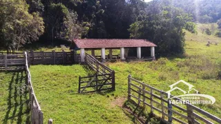 Fazenda / Sítio / Chácara com 4 Quartos à venda, 968000m² no Rocinha, Guaratinguetá - Foto 10