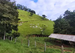 Fazenda / Sítio / Chácara à venda, 242000m² no Zona Rural, Piranguçu - Foto 15