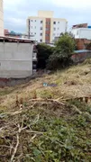 Terreno / Lote / Condomínio à venda, 836m² no Paineiras, Juiz de Fora - Foto 11