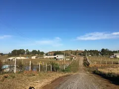 Fazenda / Sítio / Chácara à venda, 3000m² no Vila Seca, Caxias do Sul - Foto 2