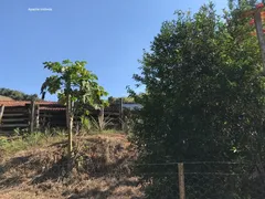 Fazenda / Sítio / Chácara com 4 Quartos à venda, 310000m² no , Rio Casca - Foto 3