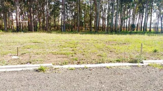 Terreno / Lote / Condomínio à venda, 220m² no Uvaia, Ponta Grossa - Foto 3