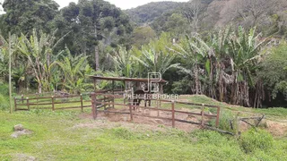 Terreno / Lote / Condomínio à venda, 140000m² no Córrego das Pedras, Teresópolis - Foto 4