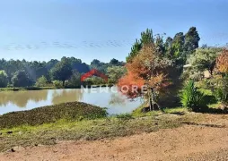 Fazenda / Sítio / Chácara com 3 Quartos à venda, 20000m² no Fazenda Souza, Caxias do Sul - Foto 2