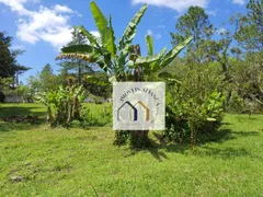 Fazenda / Sítio / Chácara com 6 Quartos à venda, 3300m² no Parque das Garcas, Santo André - Foto 66