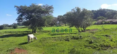 Fazenda / Sítio / Chácara à venda, 251500m² no Iguipora, Marechal Cândido Rondon - Foto 24